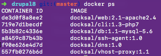 docker ps Docksal