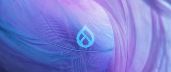 A minimal Drupal 9 local development environment (part 1)