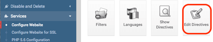 Virtualmin edit Apache directives